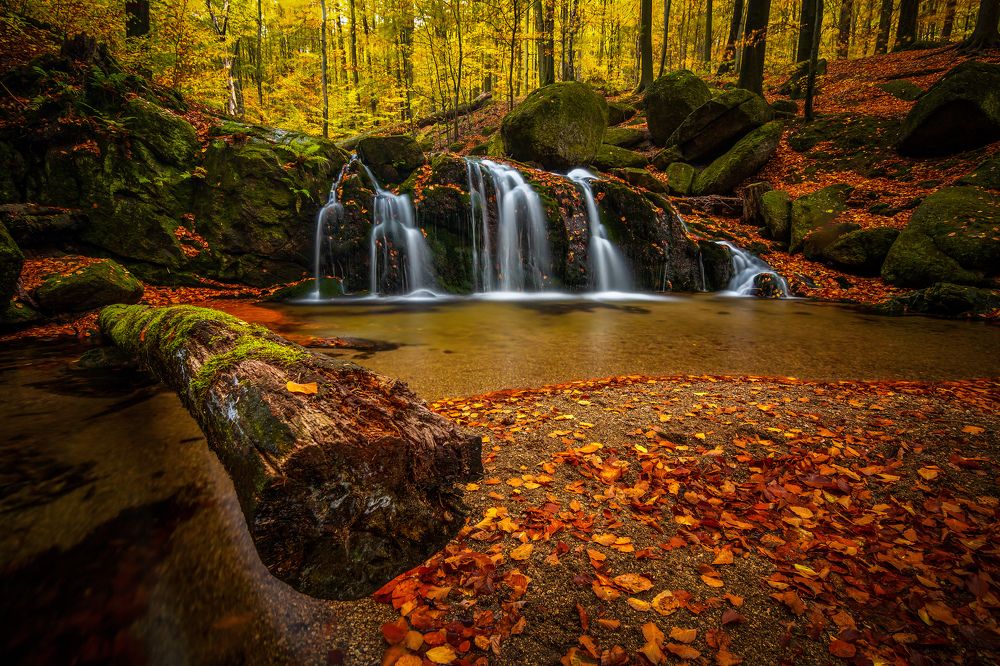 Photograph by Petr Musil