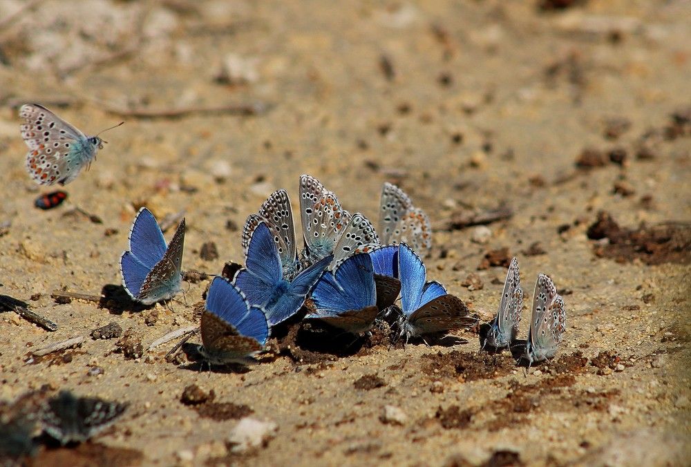 Photograph by Galina Tsmyg