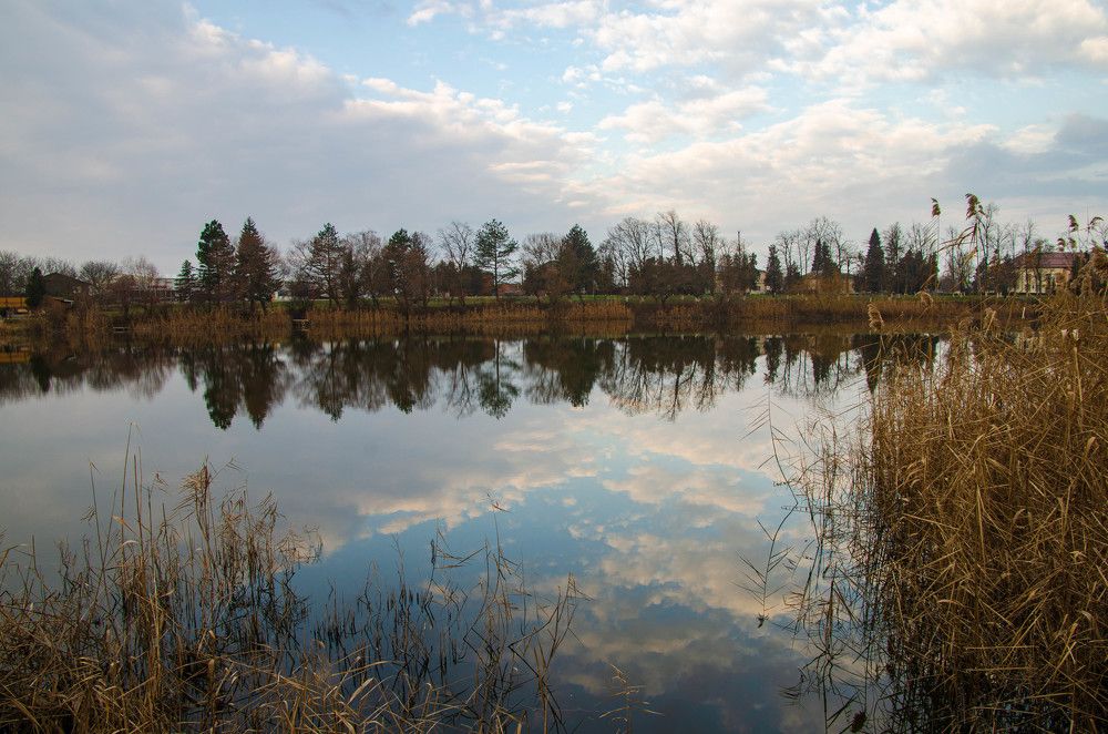 Photograph by Редько Александр