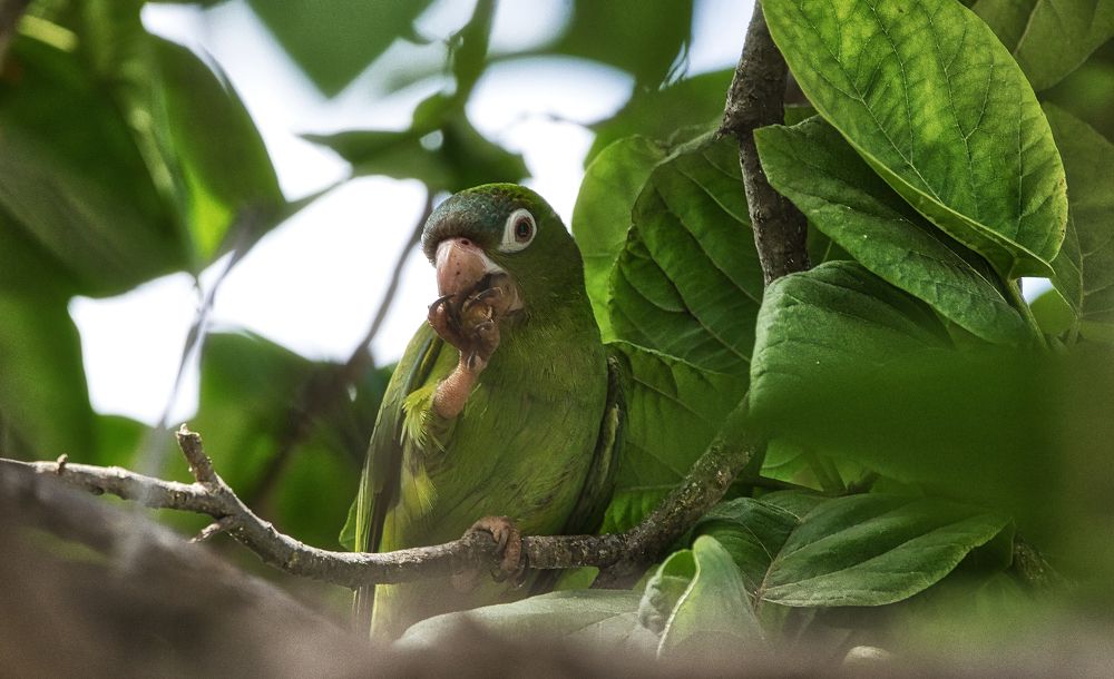 Photograph by Gavin Jones