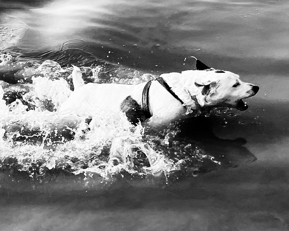 Photograph by Ольга Зуева