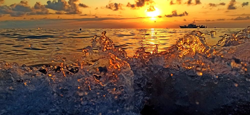 Photograph by Ольга