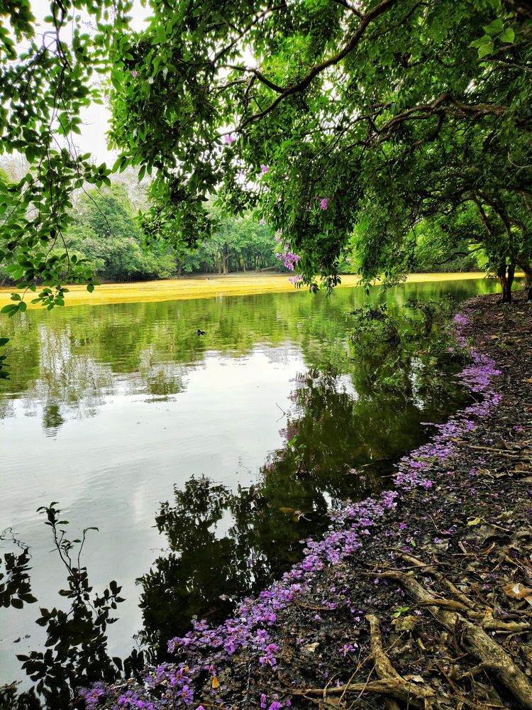 A colorful afternoon at the lake