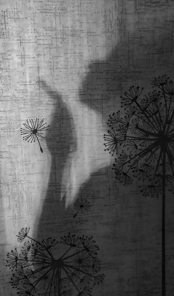 Photograph by Ева Мельникова
