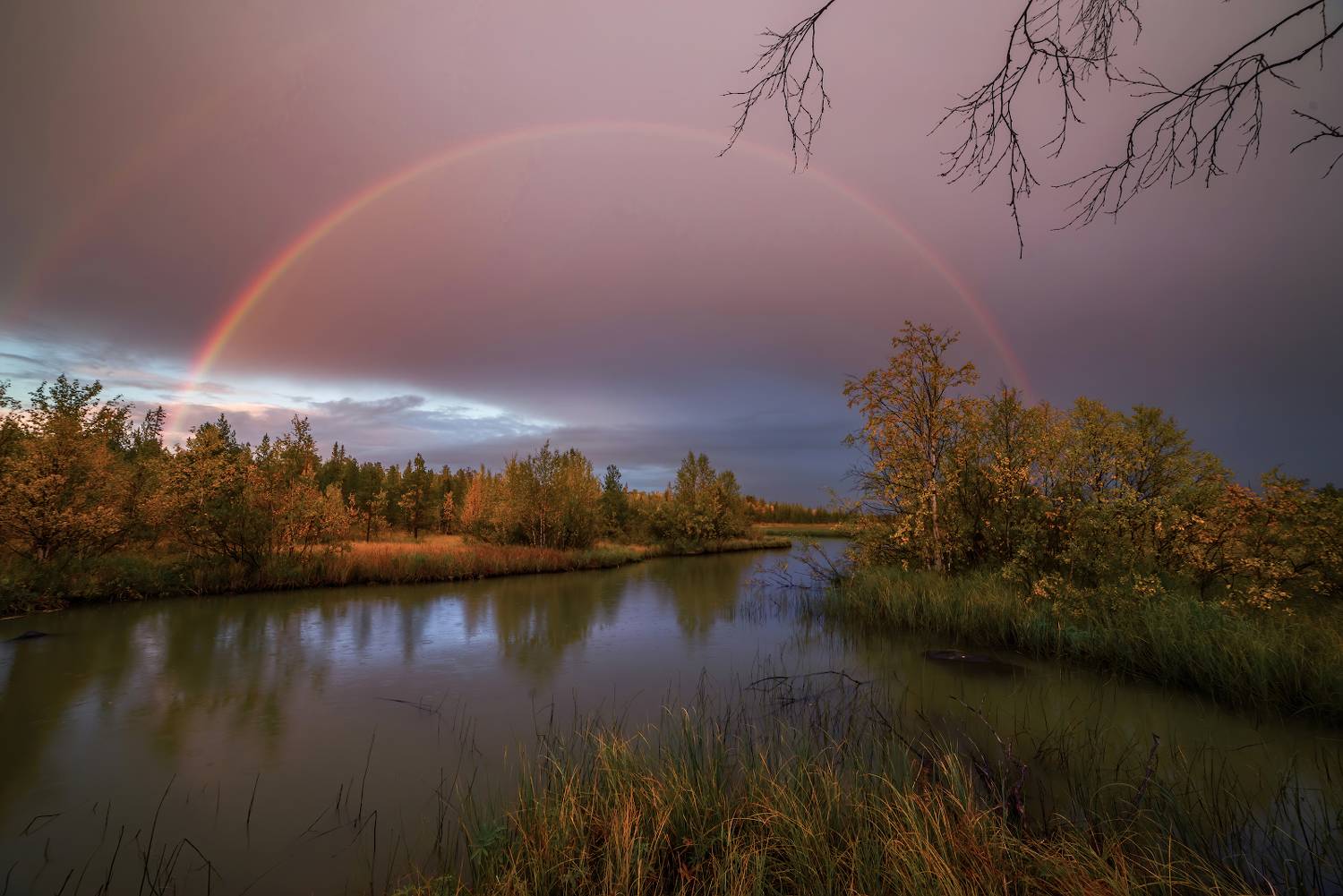 Photo #8560982