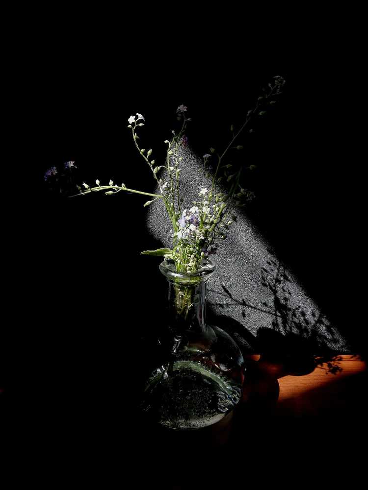 Photograph by Galina Novichkova