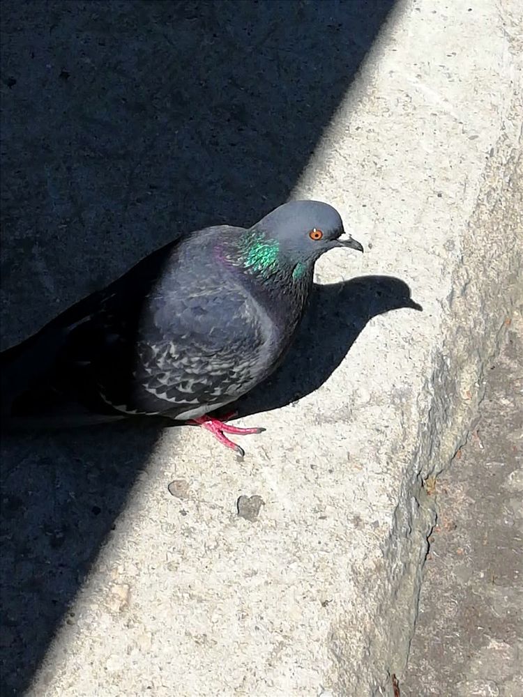 Photograph by Galina Novichkova