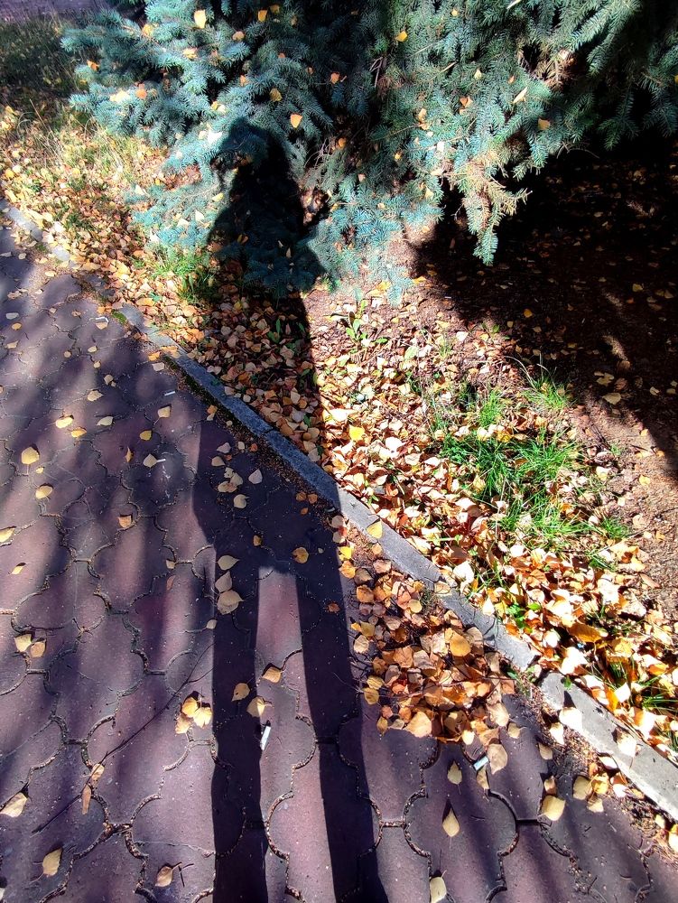 Photograph by Galina Novichkova