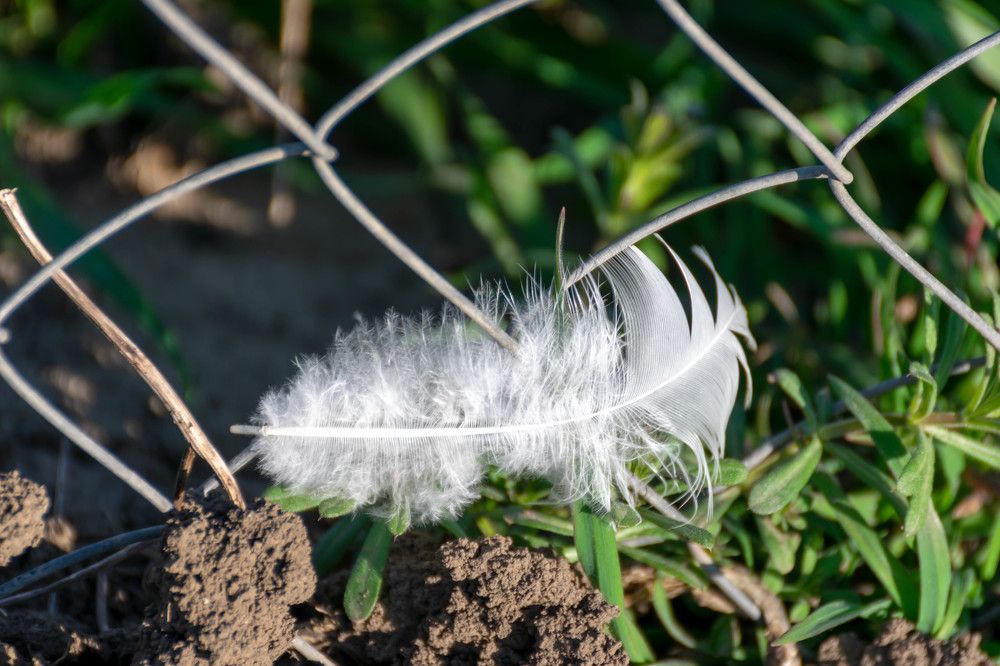 Photograph by Наталья Вялых