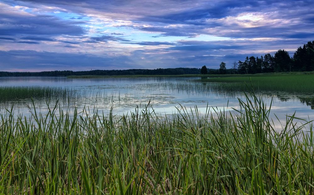 Photograph by Антипов Игорь