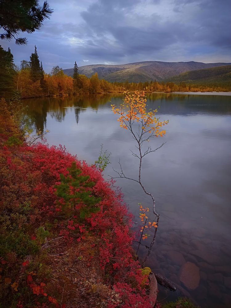 Photograph by Марина Мурашова