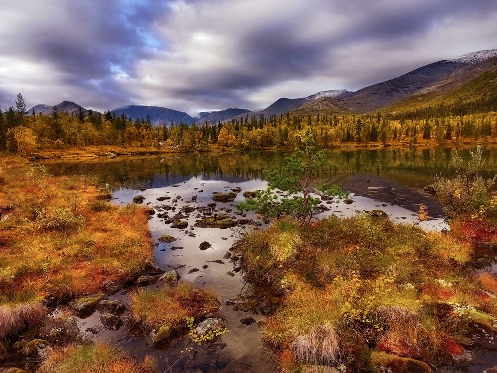 Photograph by Марина Мурашова