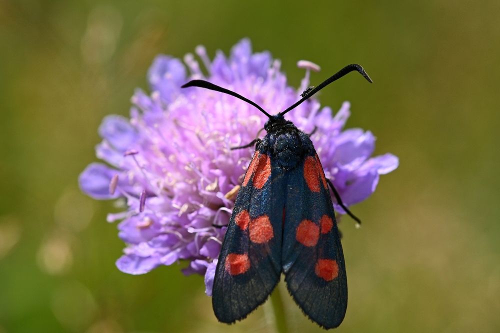Photograph by Алексей Гордеев