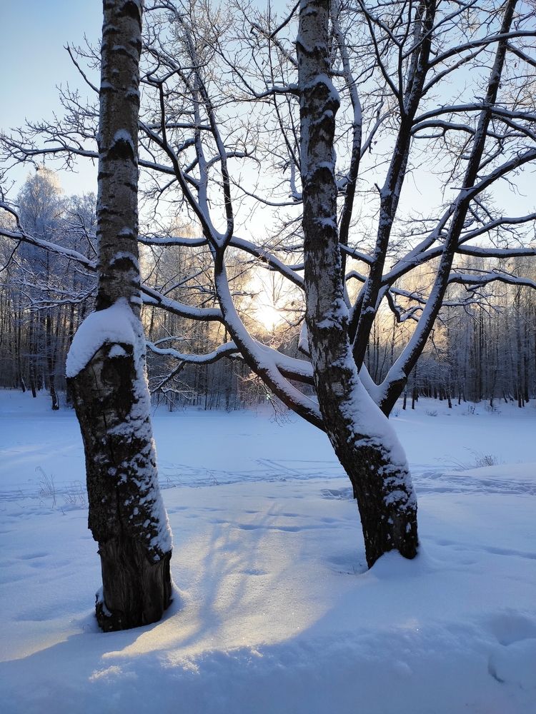 Фотография автора Наталия Нехорошева