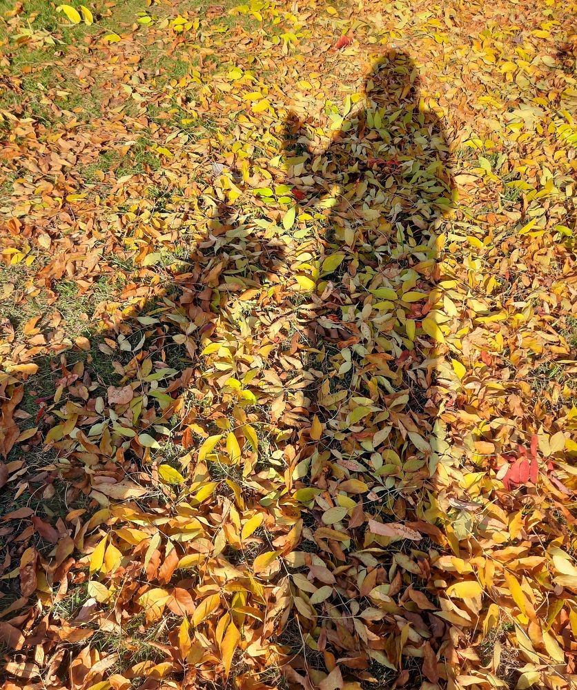 Photograph by Ольга Михайлова