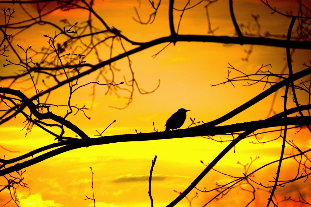 Photograph by Gevork Gukasyan