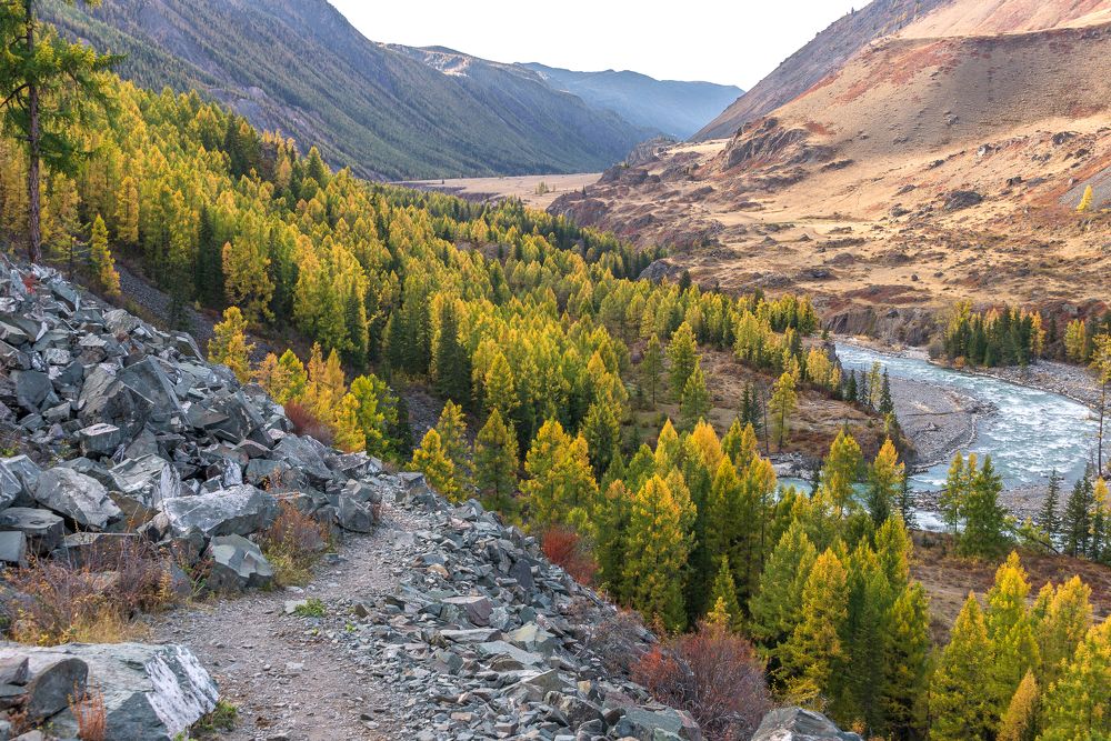 Photograph by Татьяна