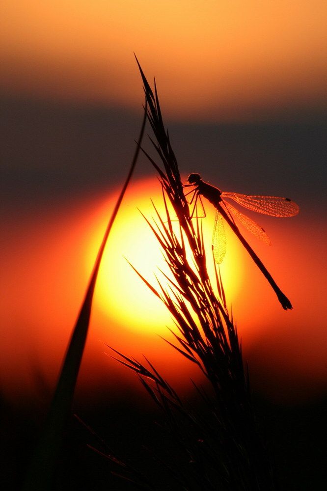 Фотография автора Александр Кожевников