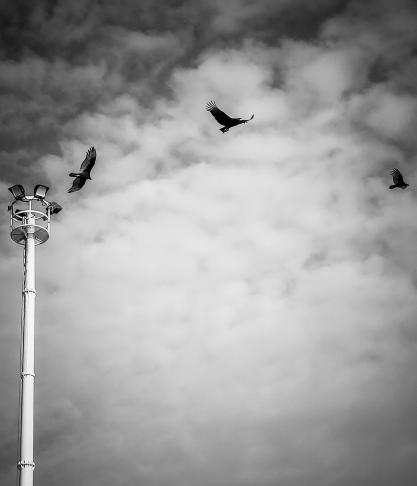 Triple vuelo