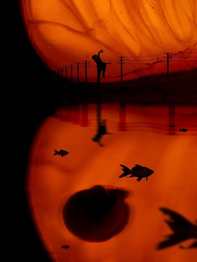 Фотография автора Daniyal Arabzadeh