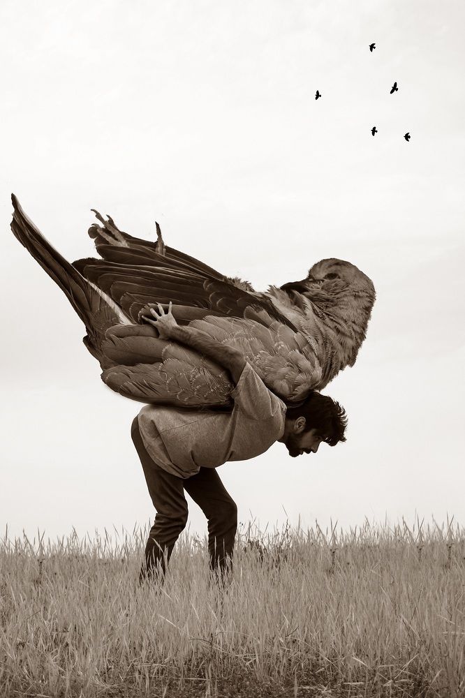 Фотография автора Daniyal Arabzadeh