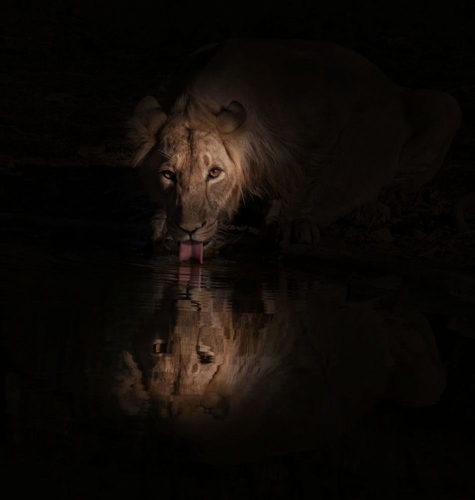 Фотография автора Niraj Sharma