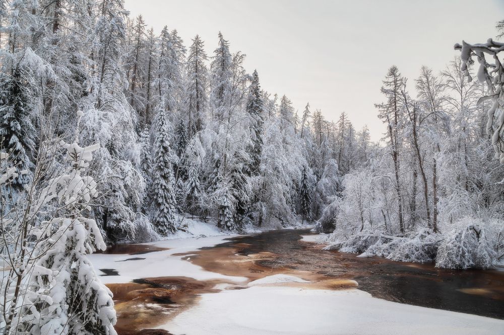 Заснеженные берега