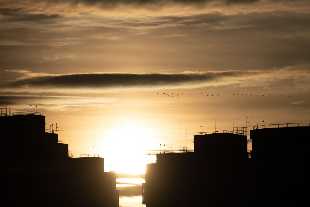 Фотография автора Olga Sarieva