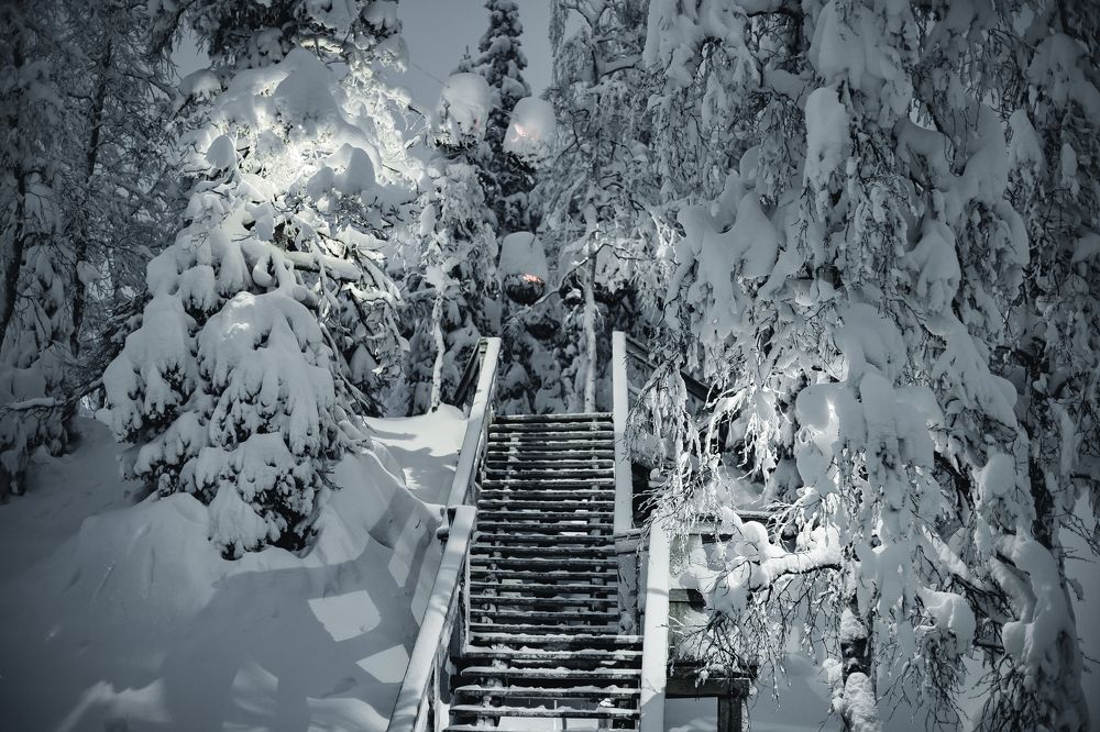 Photograph by Valentin Kolinko