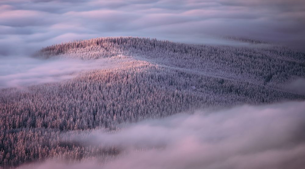 Photograph by Tom Kráčmar