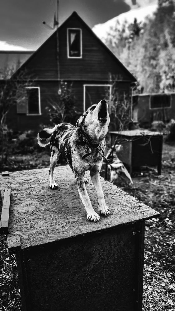 Фотография автора Всеволод Юрша