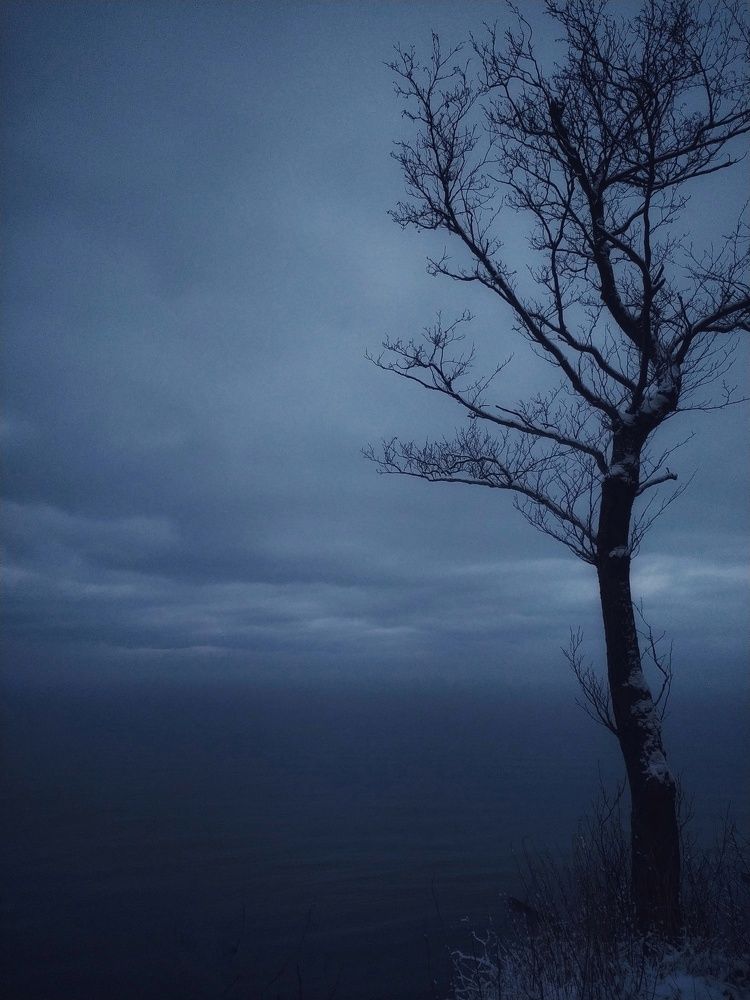 Photograph by Татьяна Григорьева