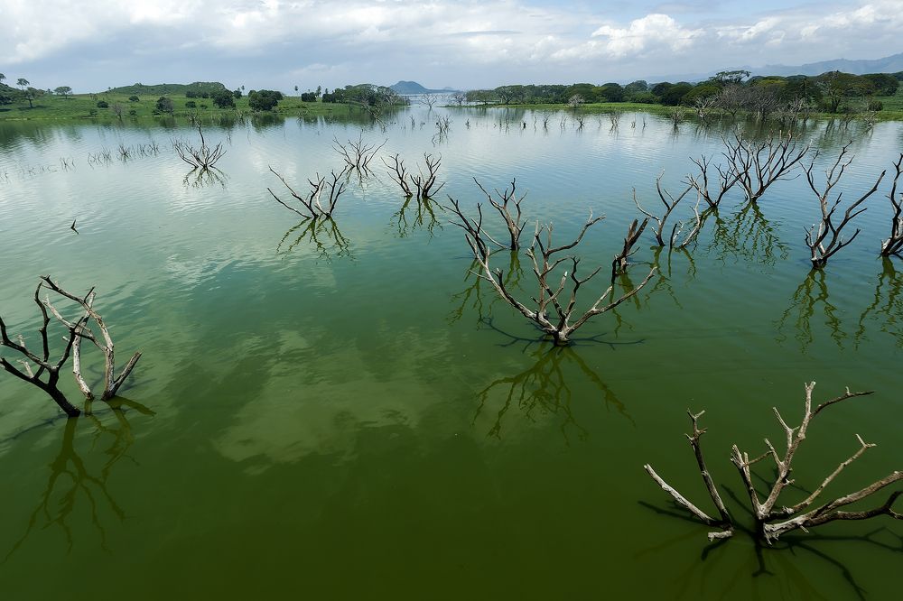 Photograph by nicola rocco