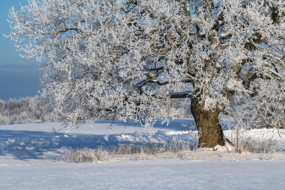 Photograph by Gatis Vilbrants