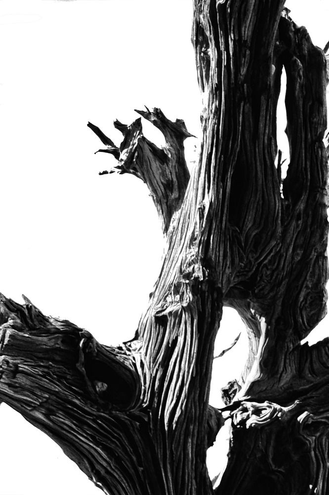 Photograph by Yovanis Gonzalez Gonzalez