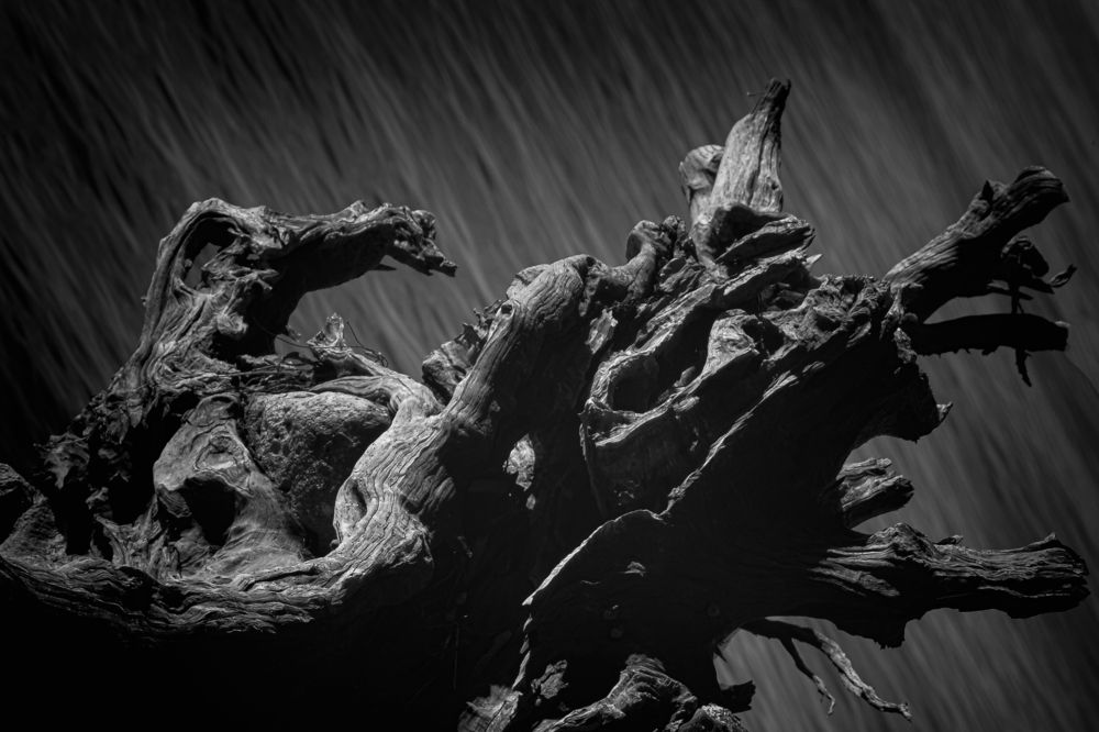 Photograph by Yovanis Gonzalez Gonzalez