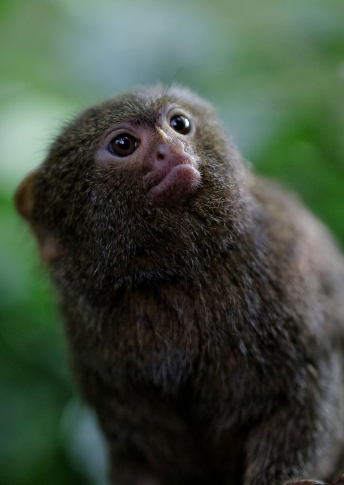 Photograph by Ирина Салминен