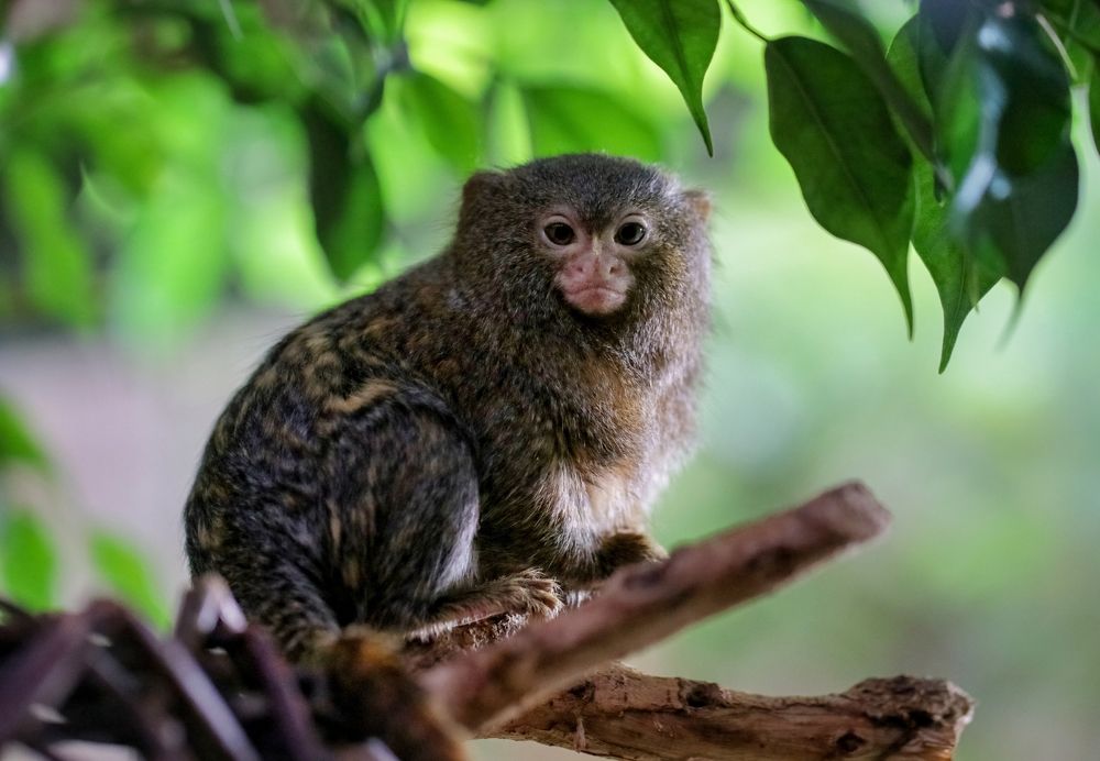 Photograph by Ирина Салминен