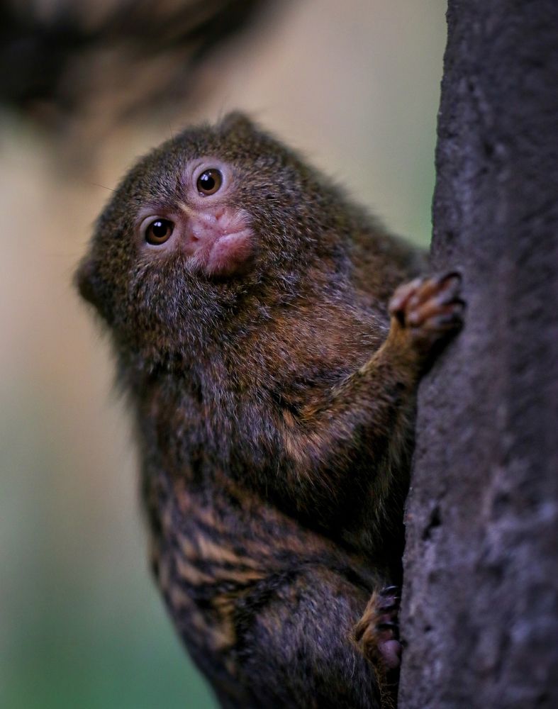 Photograph by Ирина Салминен