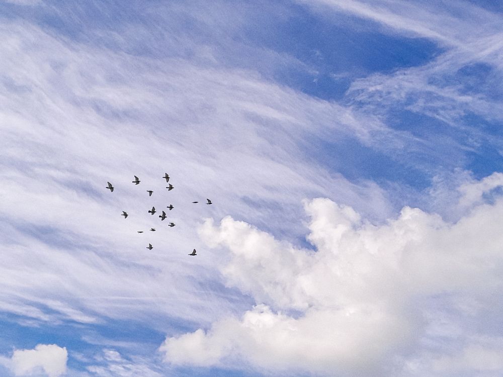 Photograph by MARK ANTHONY SANTOS