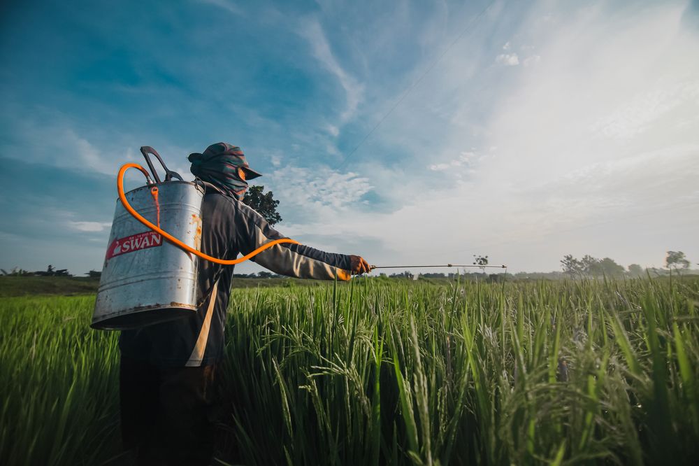 Photograph by Eri Yulianto