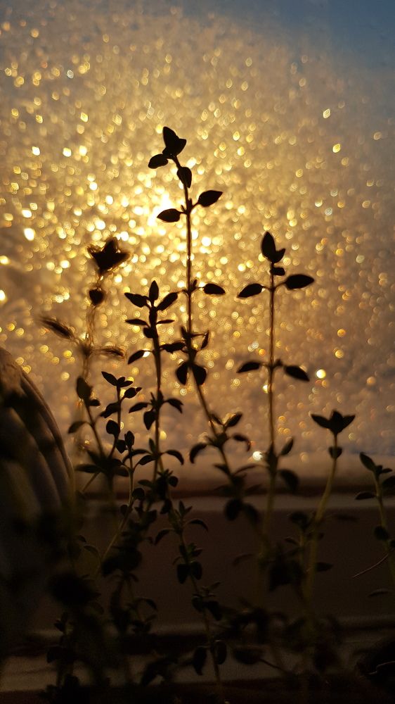 Photograph by Дарья Агапова