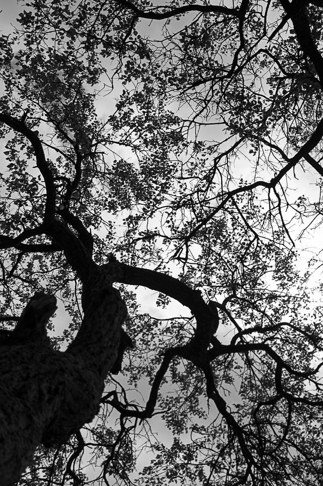 Photograph by Екатерина Першина