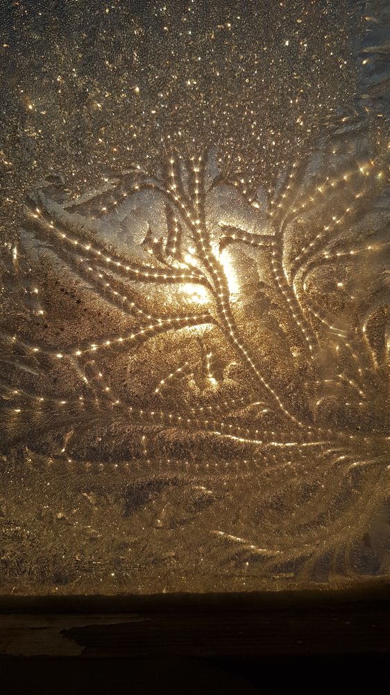 Photograph by Дарья Агапова