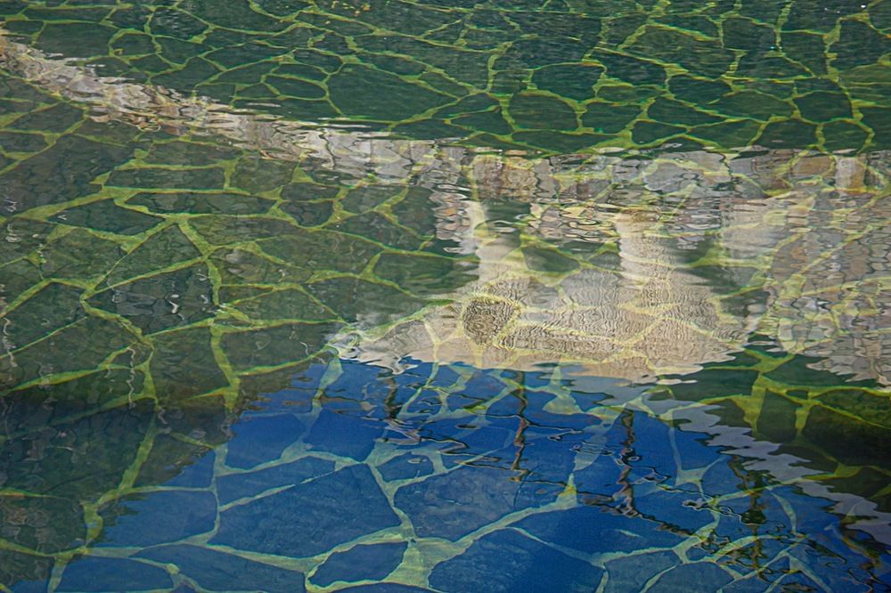 Photograph by Екатерина Першина