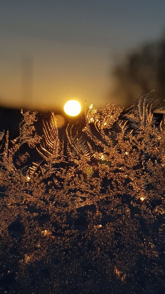 Морозное утро в деревне