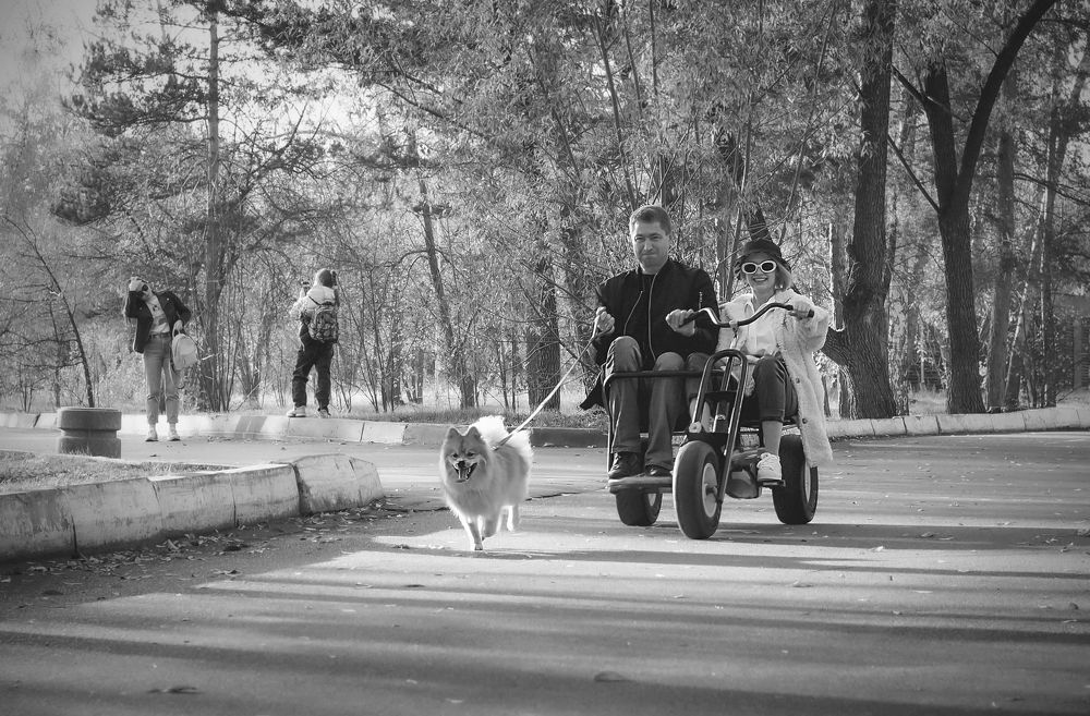 Крепче за шофёрку держись ...