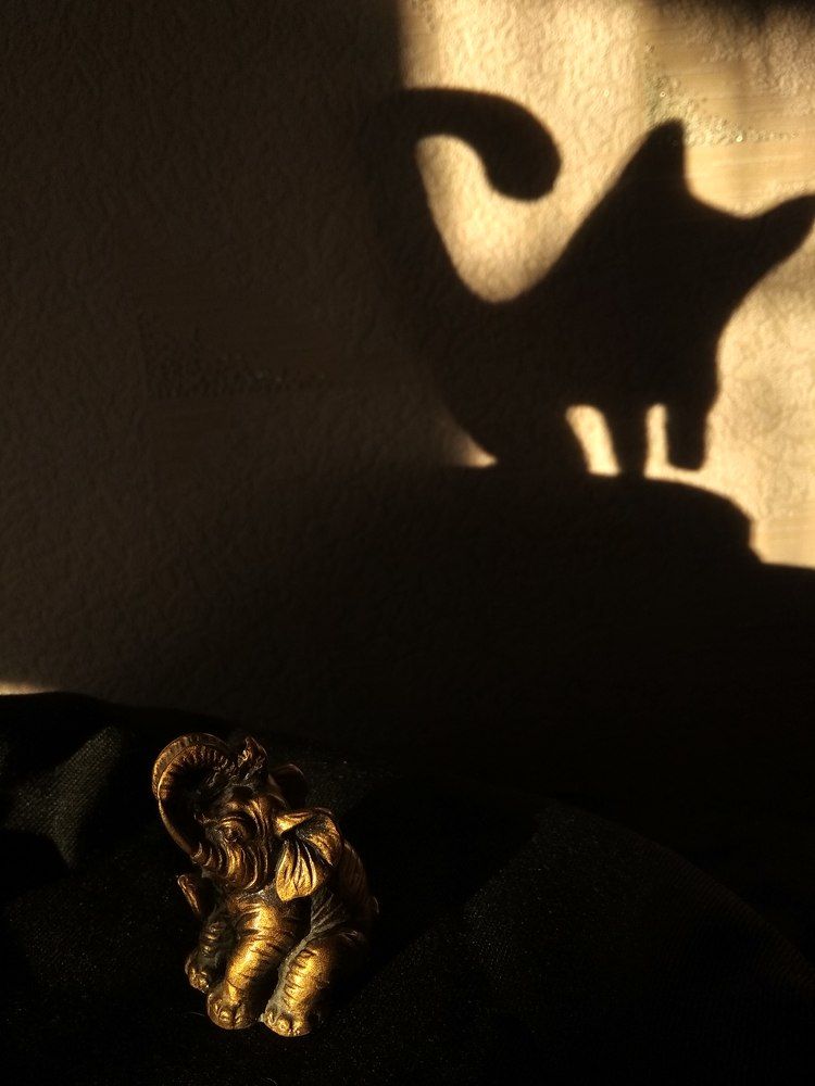 Photograph by Ольга Малина
