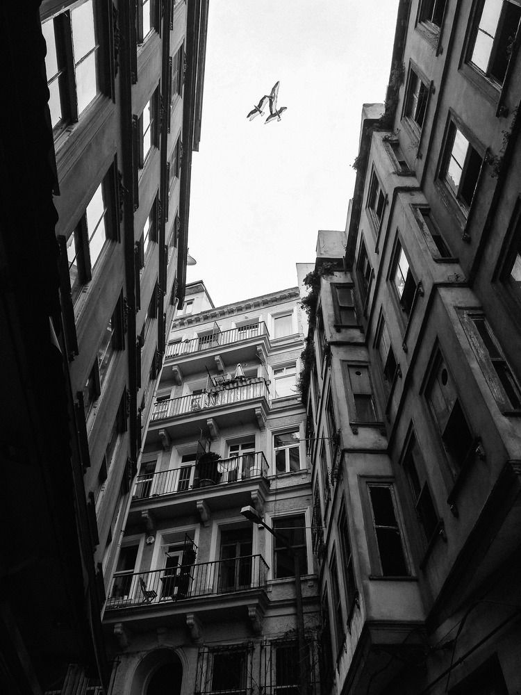 Фотография автора Елена Иванова