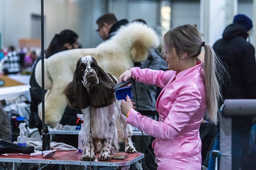 Photograph by Татьяна Гладкова